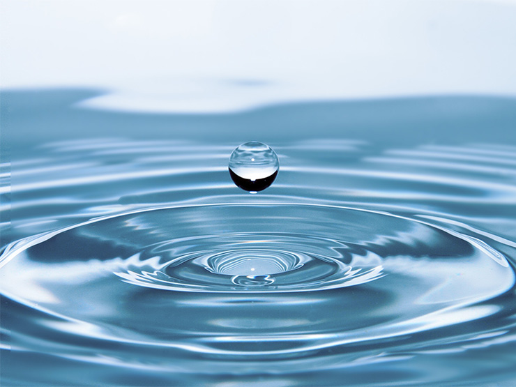 Practical water-saving tips