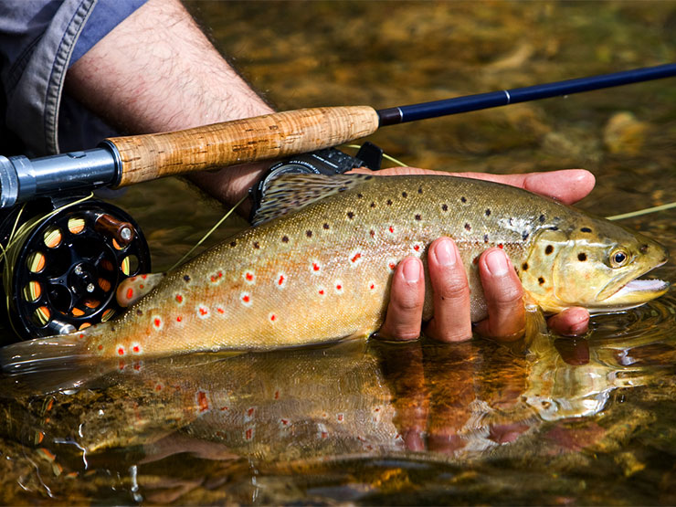 Fly-fishing